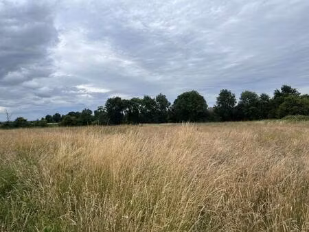 terrain constructible viabilisé à vendre