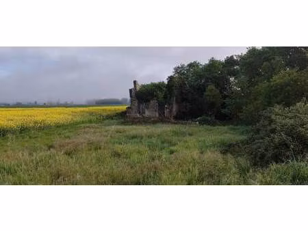 terrain constructible à vendre