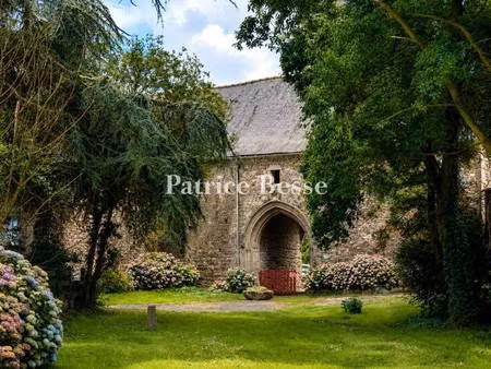 patrice besse