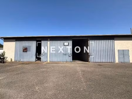 nexton immobilier