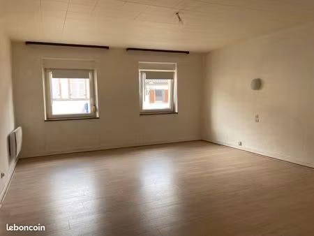 mutzig : appartement 3 pièces 100 m²
