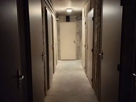 loue cave avec porte individuelle rue du rhin à saint louis