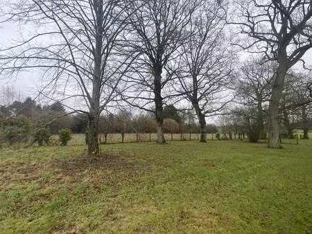 terrain constructible viabilisé à vendre