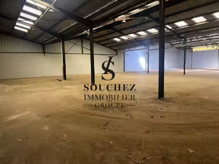 souchez immobilier - souchez