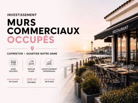 nexton immobilier
