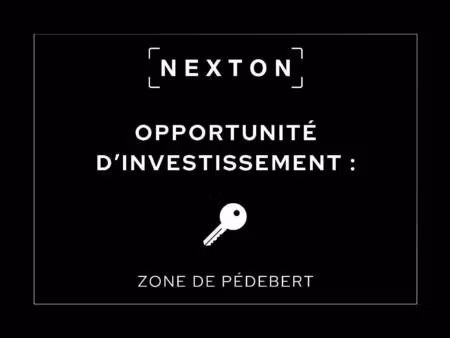 nexton immobilier