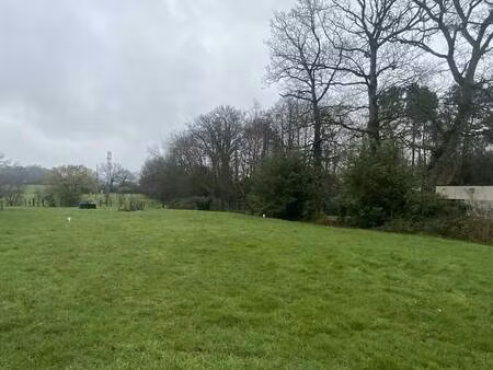 terrain constructible viabilisé à vendre