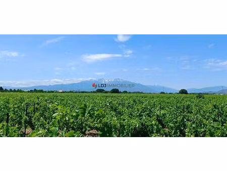 terrain à vendre