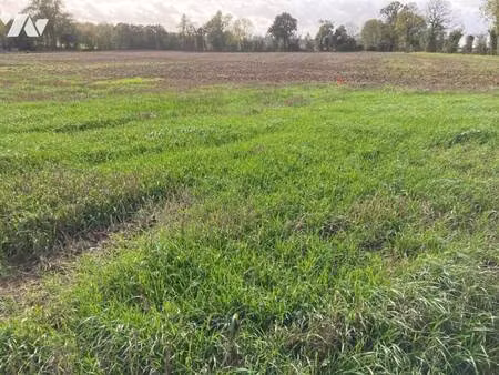 terrain constructible à vendre