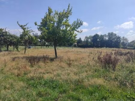 terrain constructible à vendre