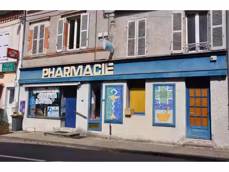 stephane goutaudier immobilier