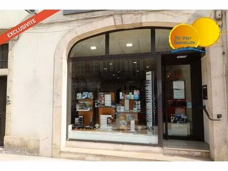 pic vert immobilier