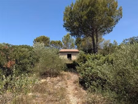 terrain à vendre