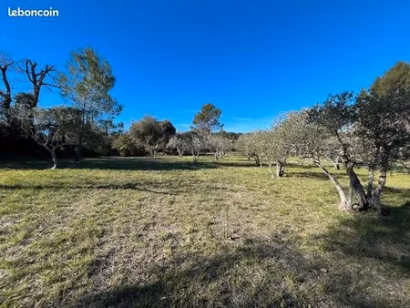 terrain 1 615 m² flayosc