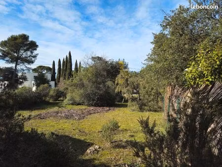 terrain 666 m² le cannet des maures