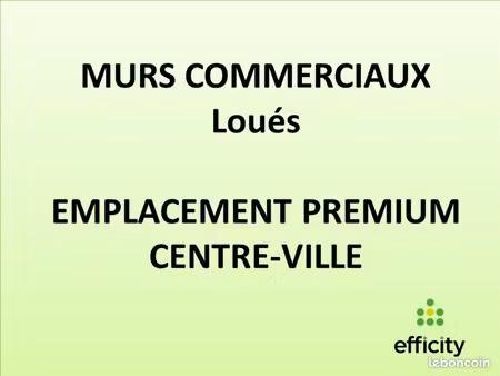 local 230 m²