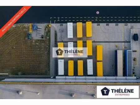 thelene entreprises