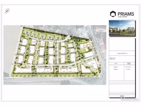 local 246 m² ferney voltaire