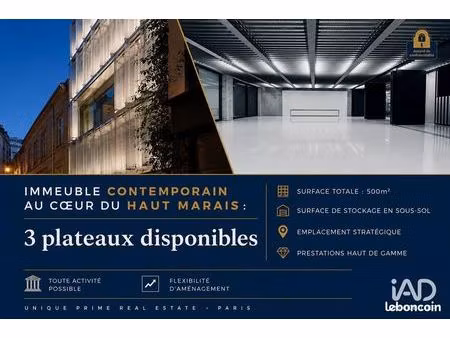 murs commerciaux 500 m² paris