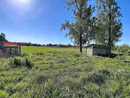 terrain à remicourt 12 000 m² (hodeige) – cadre verdoyant &