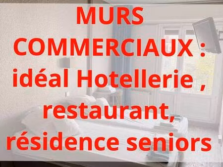 restaurant à vendre