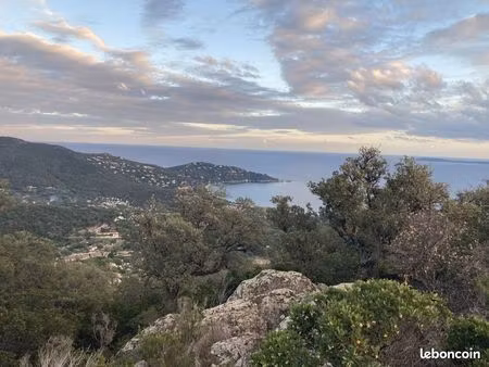 terrain 55375 m² le lavandou