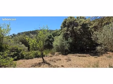 terrain 870 m² carnoules