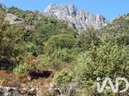 terrain à vendre