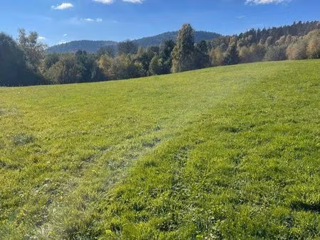 terrain constructible + agricole