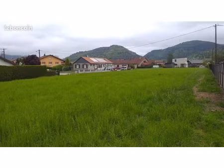 terrain constructible