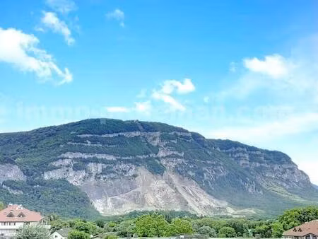 immo proléman