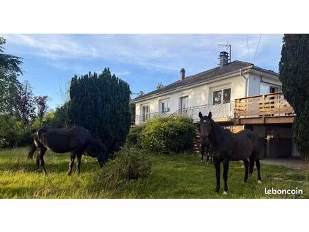 ? propriété équestre avec carrière et piscine