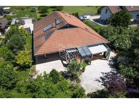 planifique immobilier