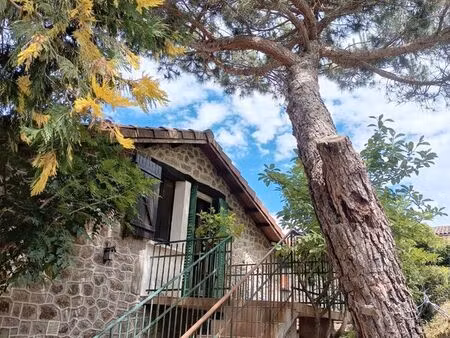maison de village en pierre  avec jardin
