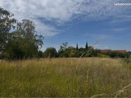 terrain constructible