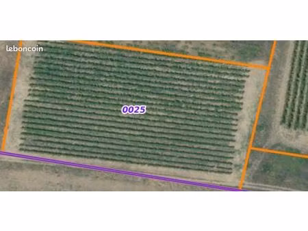 vente terrain agricole