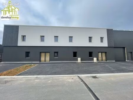 local bureaux 253 m²