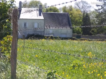 recherche maison ou terrain