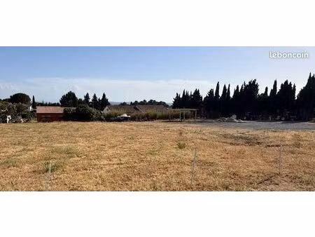 terrain constructible