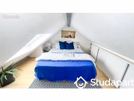 chambre 1 pièce 35 m²