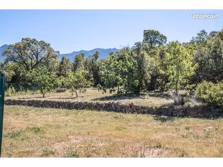 rare – magnifique terrain plat de 1400 m² nettoyé  clos et arboré – peri (20167)