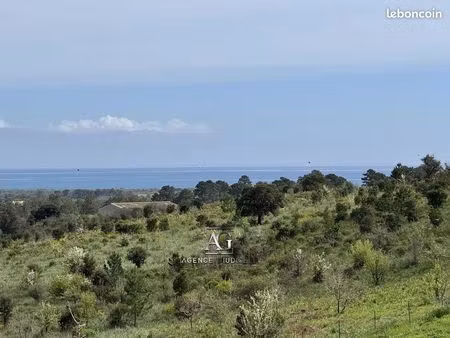 terrain 2025 m² solaro