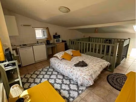 studio/loft centre carcassonne – face au canal du midi
