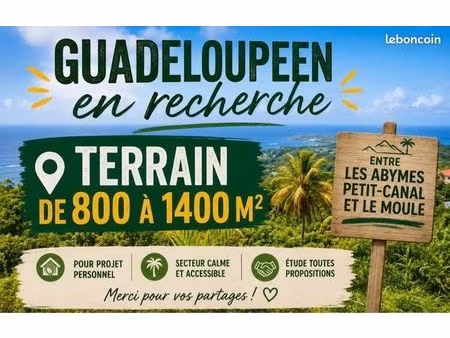 guadeloupéen recherche terrain
