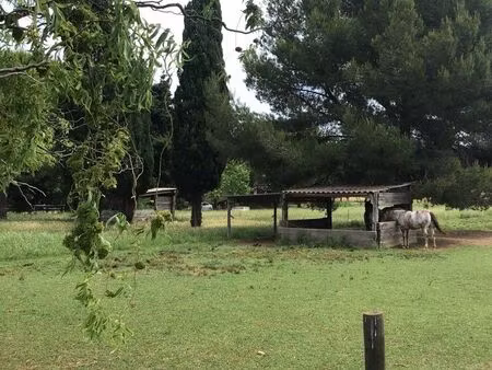 propriété d’exception au cœur des alpilles