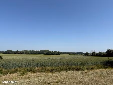 terrain constructible