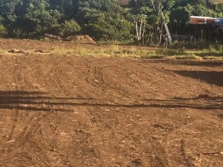 terrain constructible