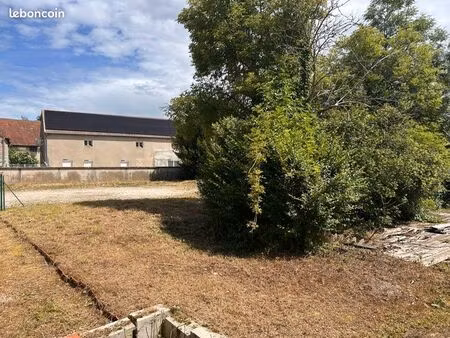 terrain constructible