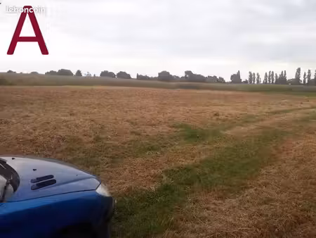 grand terrain constructible de 2800m2 à plumieux 22210