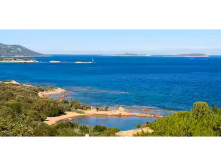 propriété avec piscine en bord de mer porto-vecchio (2a)